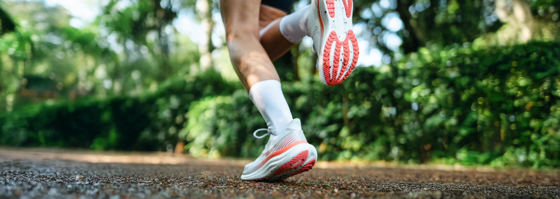 TEST: Saucony Triumph 23 - Die sichere Wahl